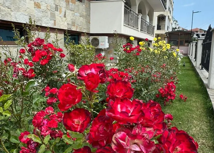 Cozy 1 Bed In Lesso Complex Apartment