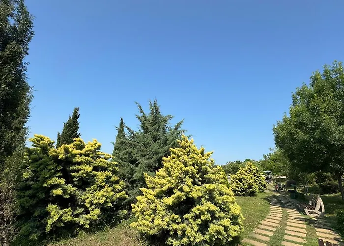 Cozy 1 Bed In Lesso Complex Ravda