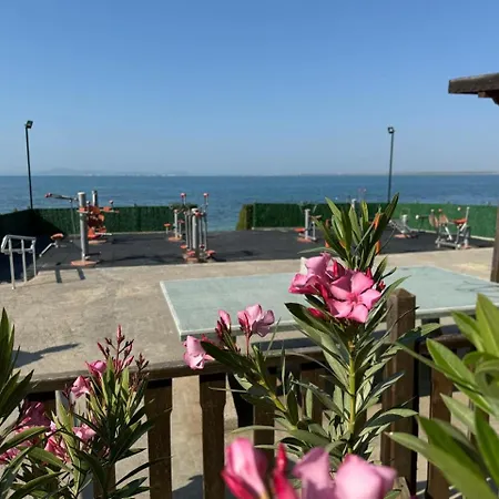 Apartment Cozy 1 Bed In Lesso Complex